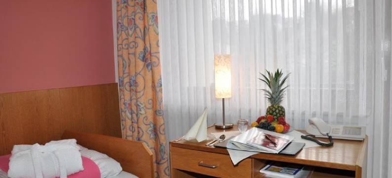 索能霍夫餐厅酒店(Hotel-Restaurant Sonnenhof)图片