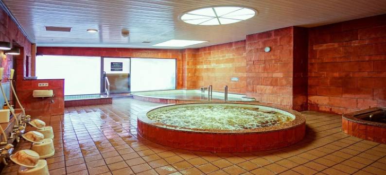 森林温泉度假村 北海道酒店(Forest Spa Resort Hokkaido Hotel)图片