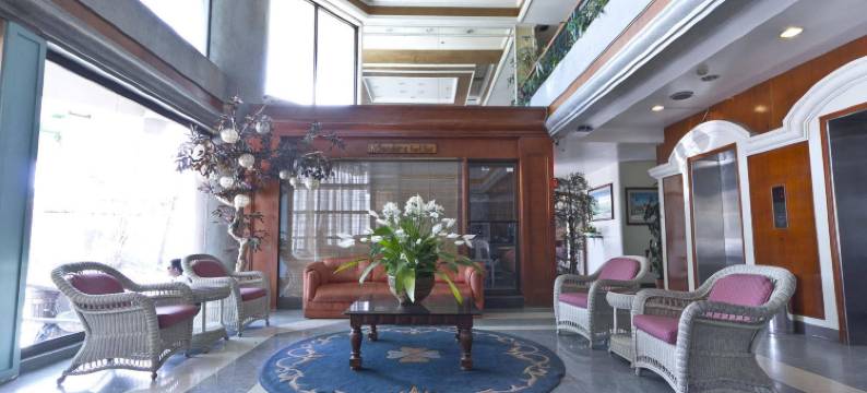 里士满广场酒店(Richmond Plaza Hotel)图片