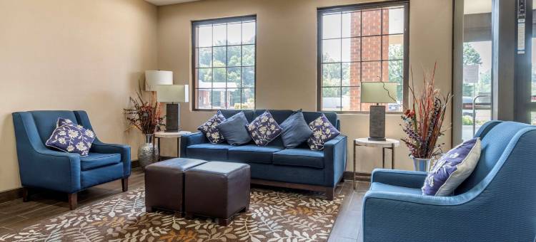 舒适酒店(Comfort Inn Near Downtown & Blue Ridge Pkwy)图片