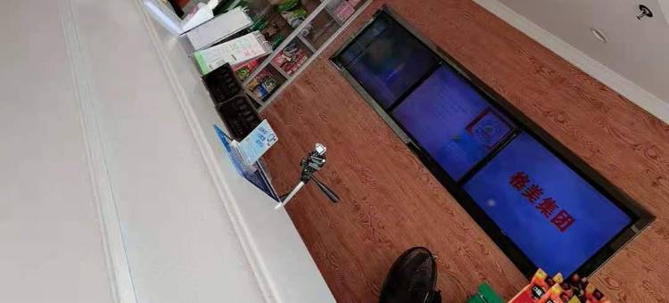 上海青皮树酒店图片