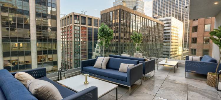 纽约市中心华尔街英迪格酒店，洲际旗下(Hotel Indigo NYC Downtown - Wall Street)图片