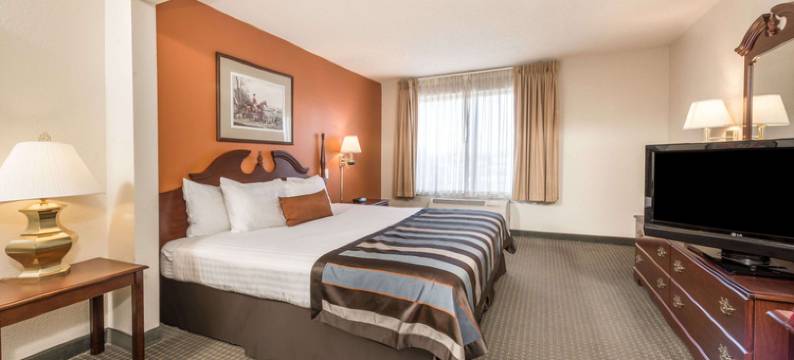 印第安纳波利斯机场-罗克维尔路蔚景温德姆酒店(Wingate by Wyndham Indianapolis Airport-Rockville Rd.)图片