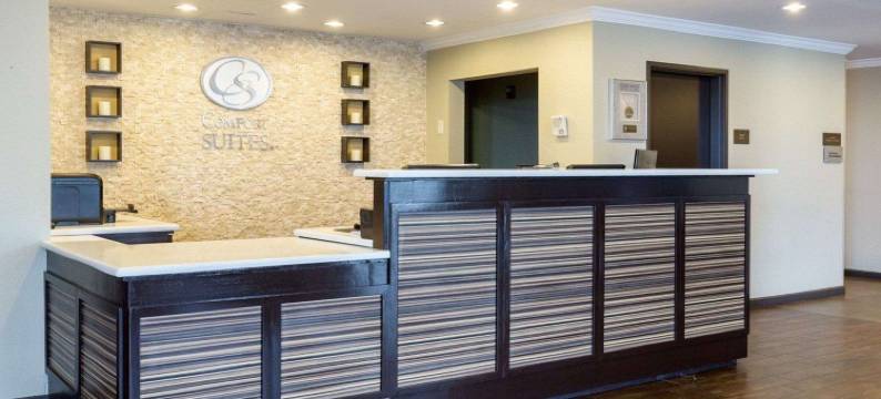 舒适套房酒店-近韦斯特彻斯8号环城路(Comfort Suites near Westchase on Beltway 8)图片