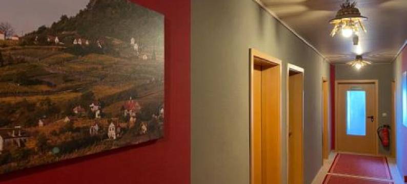 兹布鲁内恩酒店(Hotel Zum Ziehbrunnen)图片