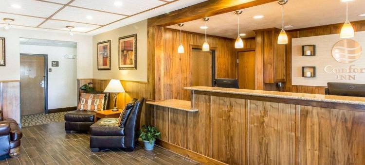 瓦伦廷舒适酒店(Comfort Inn)图片