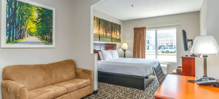 蒙哥马利体育馆戴斯酒店(Days Inn by Wyndham Coliseum Montgomery Al)图片
