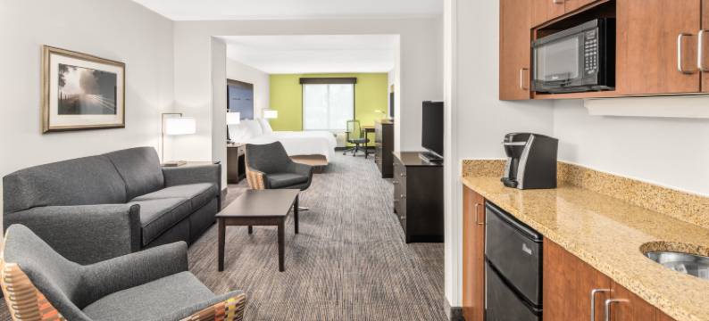 智选假日套房酒店威尔明顿，纽华克(Holiday Inn Express & Suites WILMINGTON-NEWARK by IHG)图片