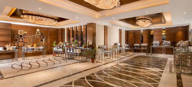 戈勒克布尔涅槃纳萨诺瓦门廊酒店(Nirvana Sarovar Portico Gorakhpur)图片