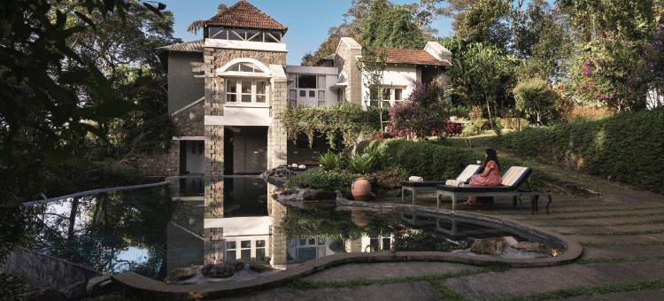 香料树Rajakumari(SpiceTree Rajakumari)图片