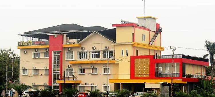 新达夫酒店(New d'Dhave Hotel)图片