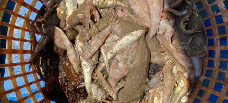 背山面海清静私墅邀上亲朋亦游亦乐度假别墅(高双线分店)图片