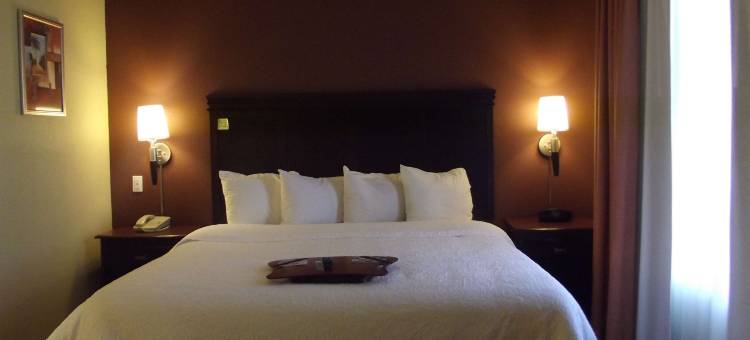 盖恩斯维尔欢朋套房酒店(Hampton Inn & Suites Gainesville)图片