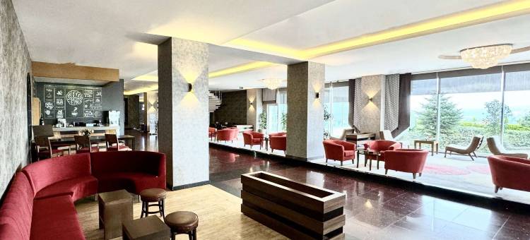 泰基尔达温德姆华美达酒店(Ramada by Wyndham Tekirdag)图片