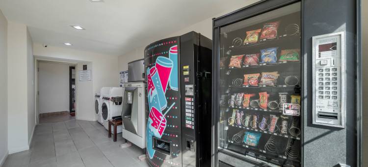 登顿红顶套房酒店(Red Roof Inn & Suites Denton)图片