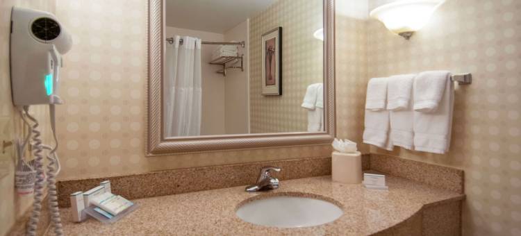 杰克逊明珠希尔顿花园酒店(Hilton Garden Inn Jackson Pearl)图片