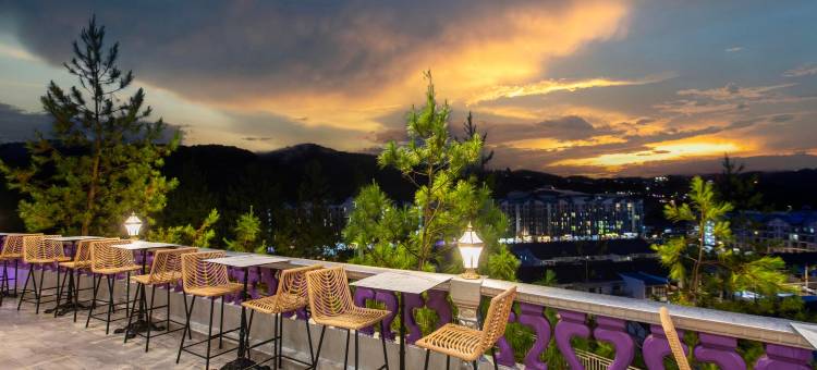 金马伦薰衣草豪宅玩耍酒店(Cameron Lavender Mansion)图片