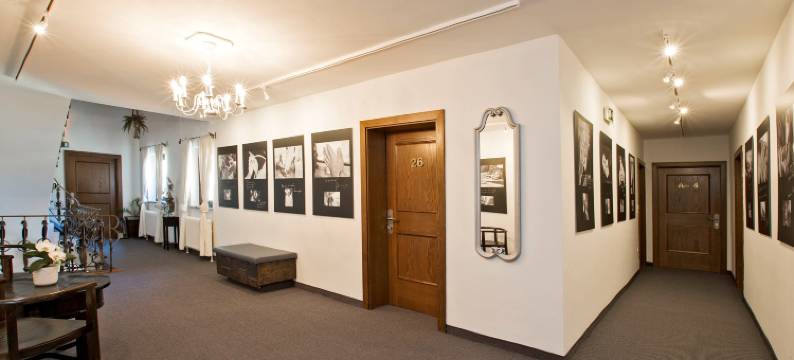 阿尔蒙斯特霍夫酒店(Hotel Altmünsterhof)图片