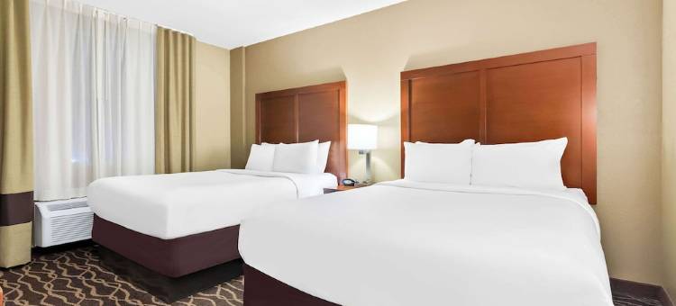 舒适套房酒店-坦帕机场北(Comfort Suites Tampa Airport North)图片