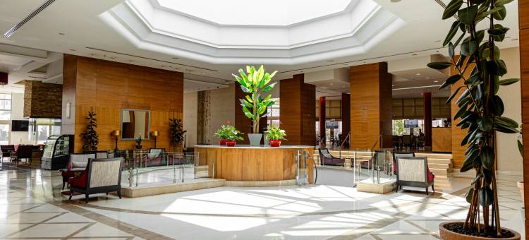 巴勒斯坦拉姆安拉千禧酒店(Millennium Palestine Ramallah)图片