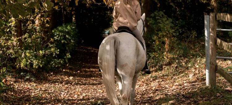 Hôtel Demeures de Campagne Domaine de Maffliers - Paris Val-d'Oise图片