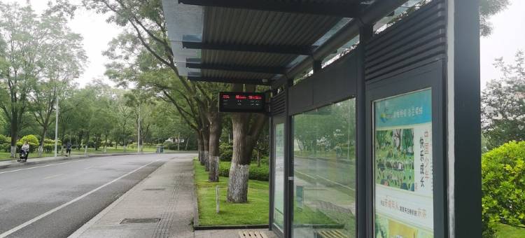 山海逸居公寓(童心巷分店)图片