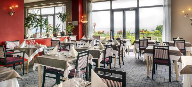 阿勒克桑餐厅及康体中心酒店(Alexain Hotel Restaurant & Wellness - Colmar Ouest)图片