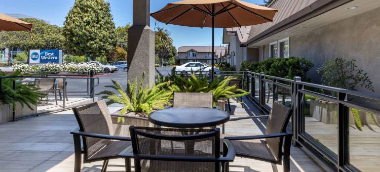 硅谷贝斯特韦斯特酒店(Best Western Silicon Valley Inn)图片