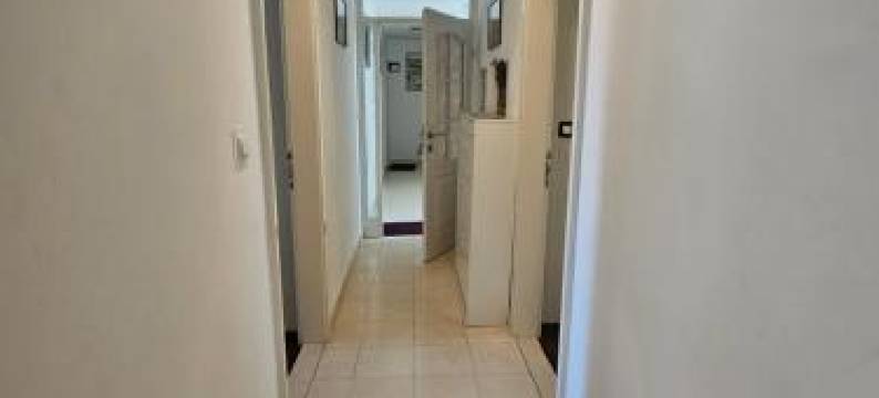 史蒂夫别墅(Apartments at Villa Stegic)图片