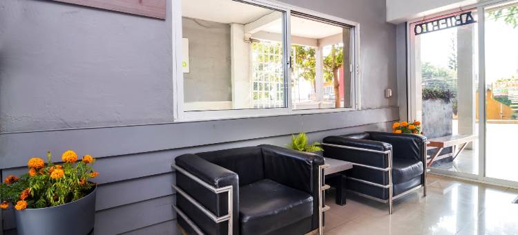 精选 O 芒果酒店 - 奥克斯特佩克六旗飓风港(Collection O Hotel Mango,Six Flags Hurricane Harbor Oaxtepec)图片