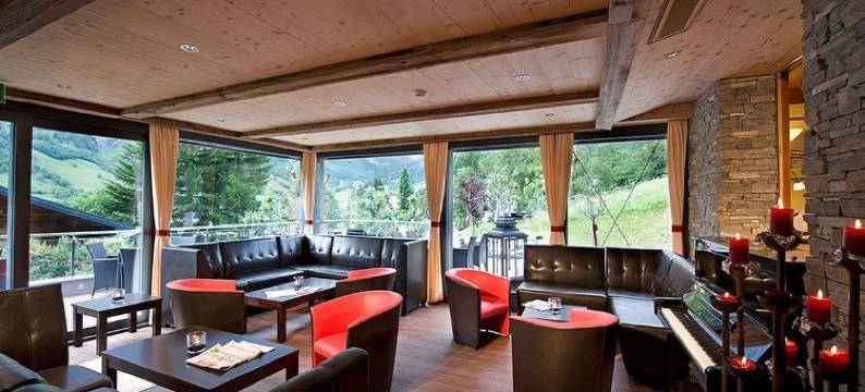 瓦尔德豪斯酒店(Hotel Restaurant Waldhaus)图片