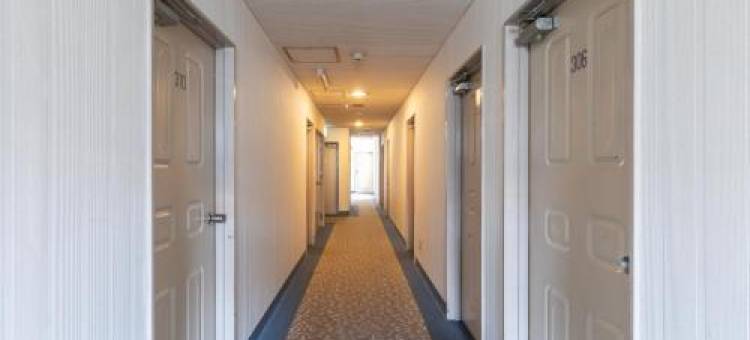 Tabist 高松珍珠酒店(Tabist Takamatsu Pearl Hotel)图片