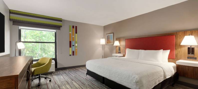 希尔顿欢朋酒店-斯塔克维尔(Hampton Inn Starkville)图片