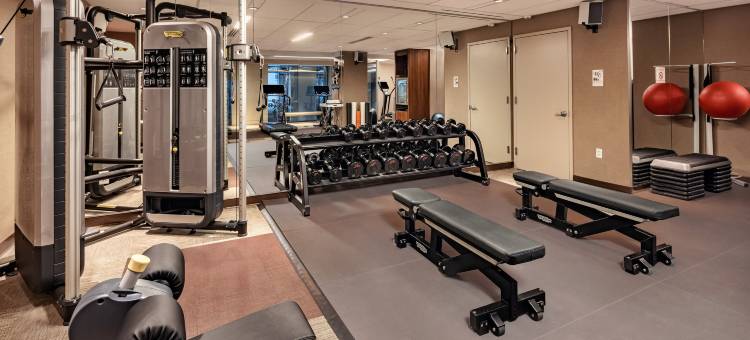 纽约奎因俱乐部希尔顿酒店(Hilton Club the Quin New York)图片