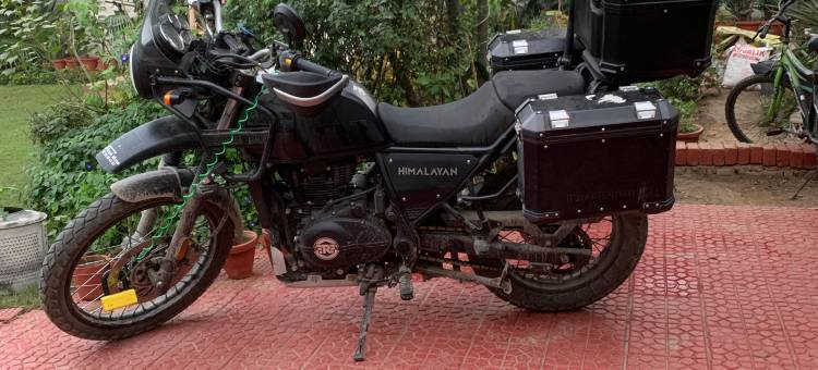 Green Serene Abode图片