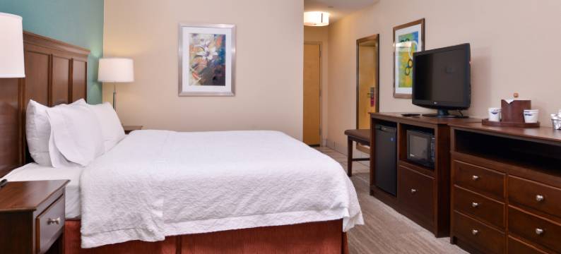 希尔顿欢朋酒店-迪凯特(Hampton Inn Decatur)图片