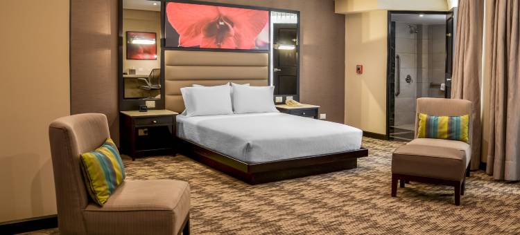 危地马拉市希尔顿花园酒店(Hilton Garden Inn Guatemala City)图片