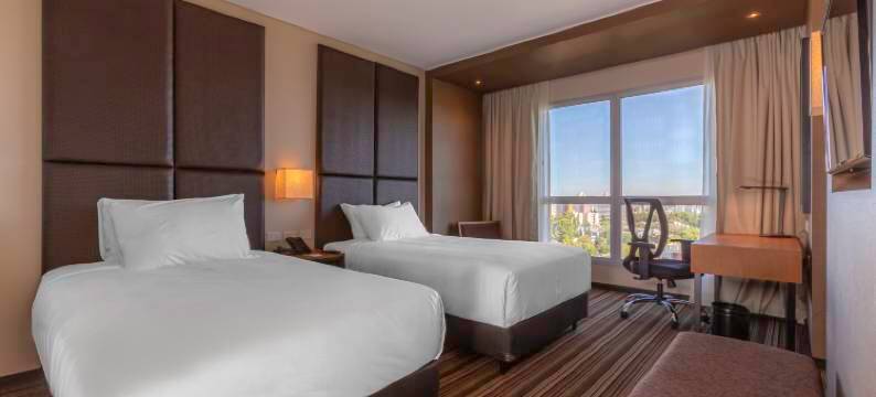 内乌肯希尔顿花园酒店(Hilton Garden Inn Neuquen)图片