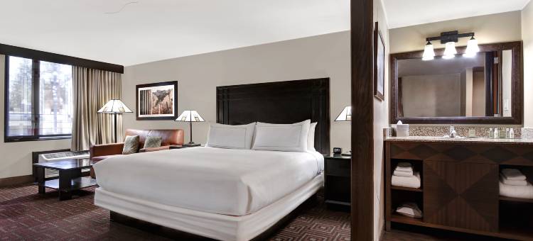 凤凰城坦佩希尔顿逸林酒店(DoubleTree by Hilton Phoenix Tempe)图片