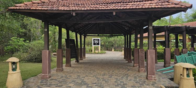 欢庆万维拉斯酒店(The Celebration Van Vilas)图片