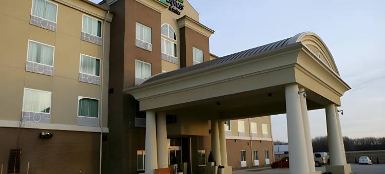 Holiday Inn 萨莱纳东(Holiday Inn SALINA by IHG)图片