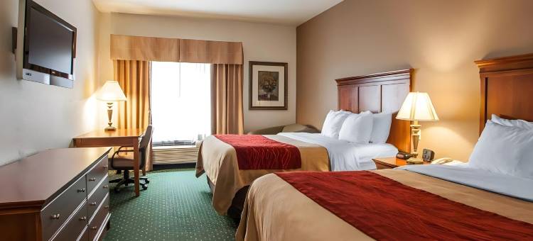 达文波特四城舒适套房酒店(Comfort Inn & Suites Davenport - Quad Cities)图片