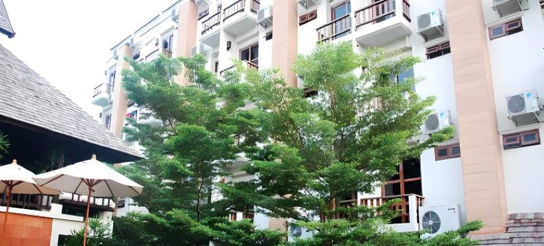 清迈雨林酒店(Rainforest ChiangMai Hotel)图片