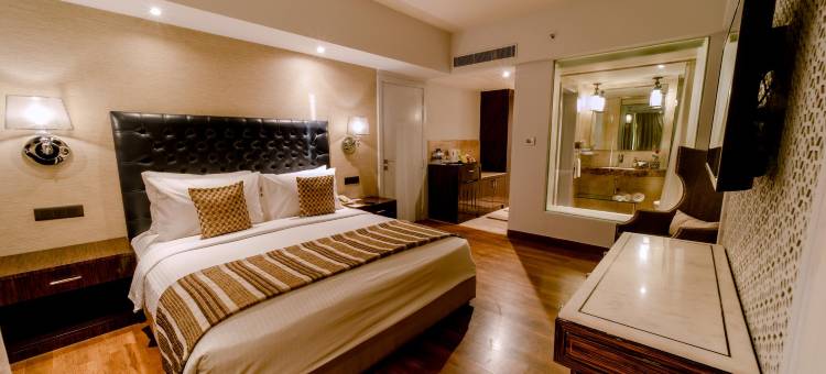 齐普尔纳萨诺瓦之廊酒店(Sarovar Portico Jaipur)图片