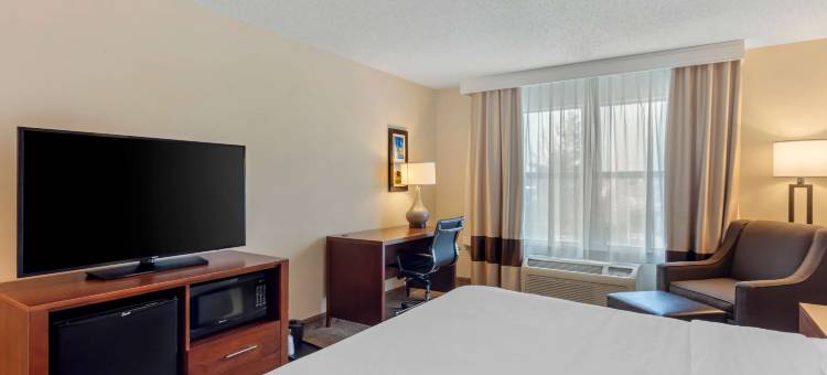 舒适套房酒店(Comfort Inn & Suites)图片