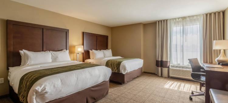 哈里斯堡机场赫塞南舒适酒店(Comfort Inn & Suites - Harrisburg Airport - Hershey South)图片