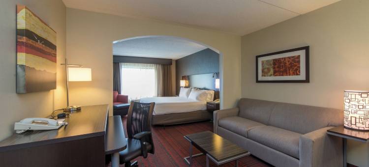 智选假日套房酒店奥本(Holiday Inn Express & Suites AUBURN by IHG)图片