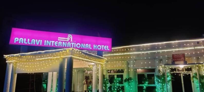 巴亚伟国际酒店(Pallavi International Hotel)图片