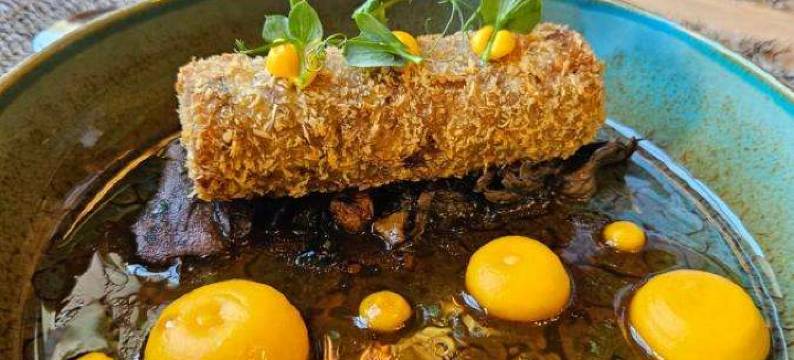 罗吉斯酒店餐厅莫特驿站(Logis Hôtel Restaurant Relais de la Mothe)图片