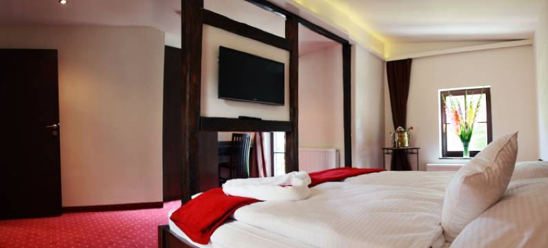 迷迭香别墅酒店(Villa Rozmaryn & Gourmet)图片